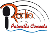 plm conecta